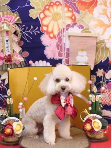 20240126ランチちゃん